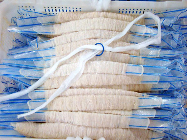 hog&nbsp;casing&nbsp;